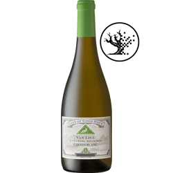 Picture of CAPE OF GOOD HOPE VAN LILL CHENIN BLANC 2025