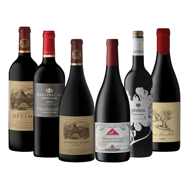 Picture of Festive Red Case