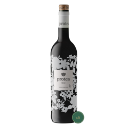 Picture of PROTEA - Merlot