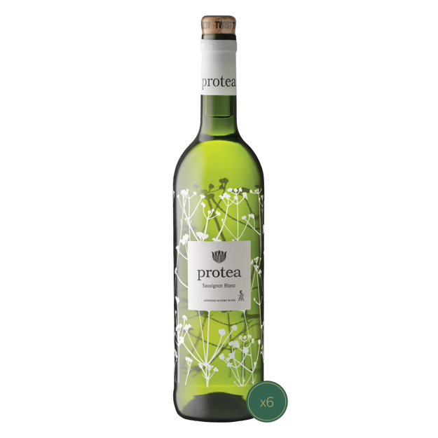 Picture of PROTEA - Sauvignon Blanc