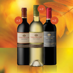 Picture of Terra Del Capo Fall Collection